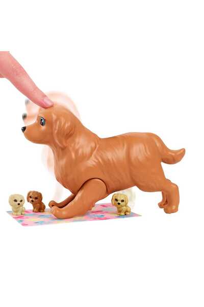 Barbie ve Hayvan Dostları Oyun Seti, köpek, 3 yavru köpek ve aksesuarlar, 3-7 yaş HCK75