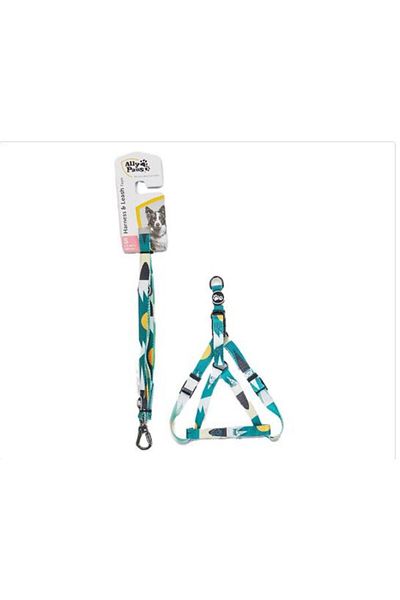 ALLYPAWS ALLY PAWS Harness And Leash Tape Chest Collar Set S 1.5 CM*120 CM