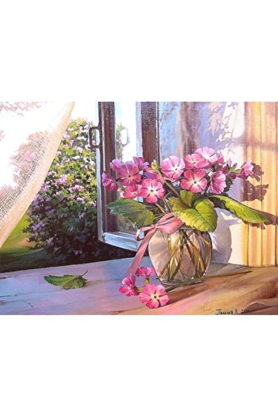 OZN TUHAFİYE Hı Stone 5d Elmas Boncuk Taş Işleme Mozaik Goblen Kit 20x30cm Mr...