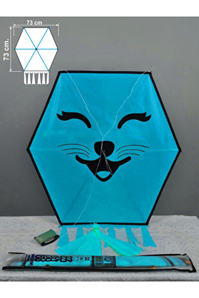 GÜLEN UÇURTMA KUMAŞ ÇERÇEVELİ ALTIGEN UÇURTMA ORTA BOY / KEDİCİK