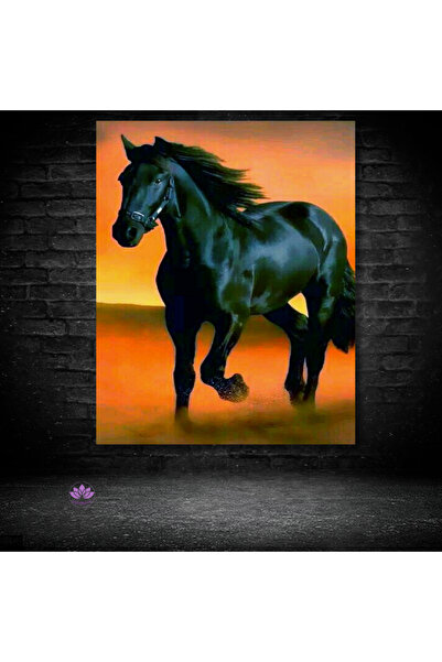 LİLYHOBBYLAND Renkli Baskılı Sayılarla Boyama Hobi Seti (Çerçeveli) 60x75 cm:...