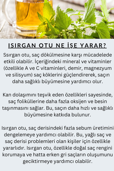 Art Detoks Isırgan Özlü Şampuan Pro Vitamin B5 + Keratin %100 Saf Doğal Şampuan