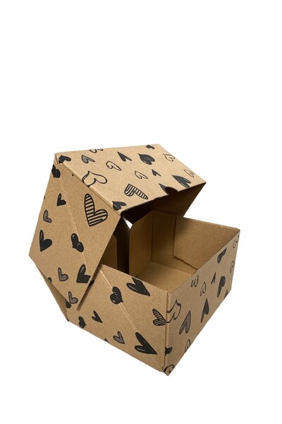 KOLİJET E Ticaret Karton Kargo Kutusu 15x20x10 Cm -1 Desi 50 Adet