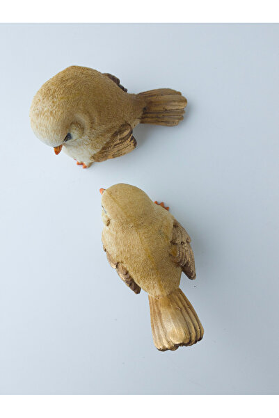 Kare Home Dekoratif Tombul Renkli Kuş 2li Set