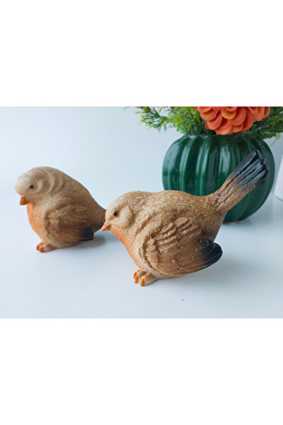 Kare Home Dekoratif Tombul Renkli Kuş 2li Set