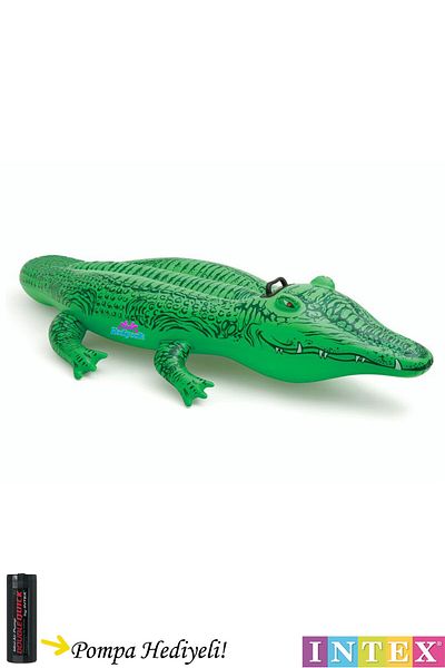 hediyecik İntex Crocodile Figured 168x86 Cm Pool and Sea Bed - with Holder