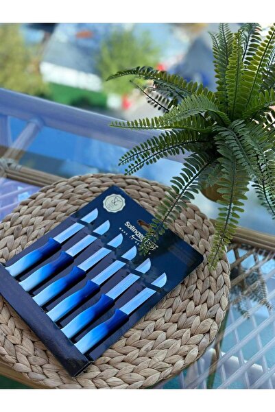 Solingen سكين الفواكه والخضروات المسننة SOLINGEN 6 قطع