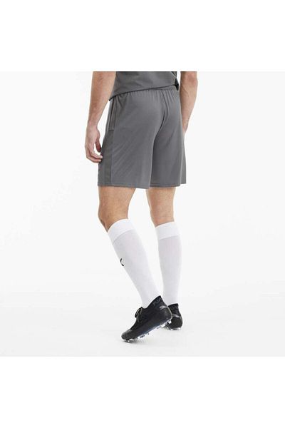 Puma Team Goal 23 Men's Gray Shorts