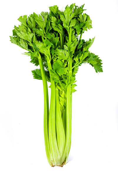 CHEF'S GARDEN Detoks Paketi Sap Kereviz (2 ADET) Lıme Lımon (2 Adet ) Ispanak (1 PKT)