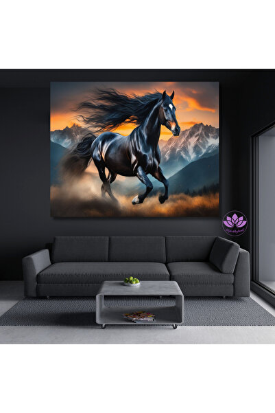 LİLYHOBBYLAND Renkli Baskılı Sayılarla Boyama Hobi Seti (Çerçeveli) 60x75 cm:...