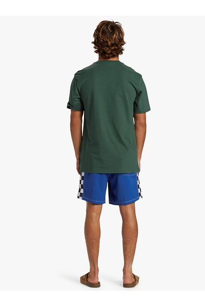 Quiksilver Quiksilver Qs Omni Logo Dna Forest Men's T-shirt Aqyzt09601-26111