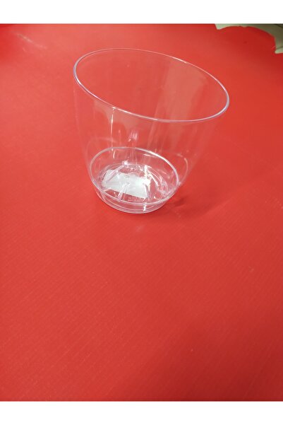 Üçsan Küçük Orkide  Saksı