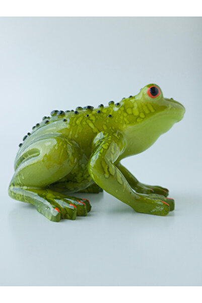 Kare Home Dekoratif Kurbağa ÖZEL BOYAMA Gerçekçi
