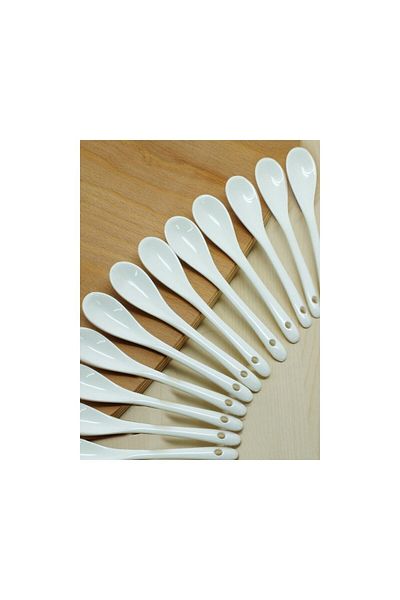 NIDAGE 12Pcs Colorful Porcelain Spoon Set - Luxury Tea, Jam and Dessert Sugar Spoon