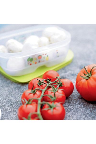 Tupperware Greenhouse Deep Set of 4