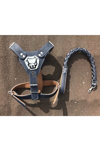 Carmen Köpek Tasma Gladyatör Deri Göğüs Tasma Büyük Boy+deri Örgü Gezdirme