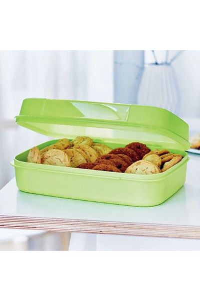 Tupperware F20 Model Large Cookie and Pastry Storage Container - Hsgl