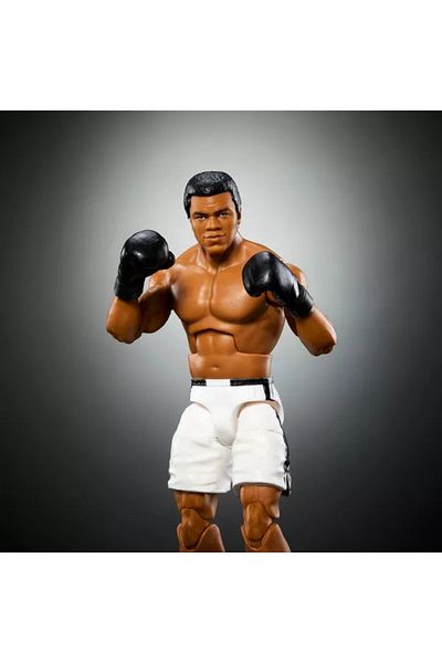 mattel WWE Legends Elite Muhammad Ali HVF61