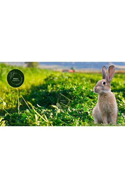 POLYBOTUM POLY Kemirgen DOĞAL KURU YONCA KEMİRGEN OTU-TAVŞAN-GİNEPİG-HAMSTER ...