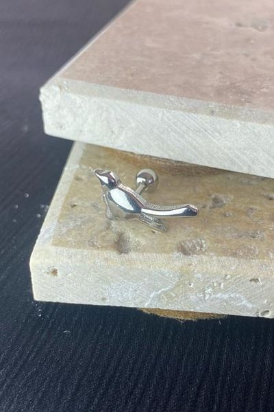 Jaida Moda Unisex Steel Bird Figured Stud Earrings