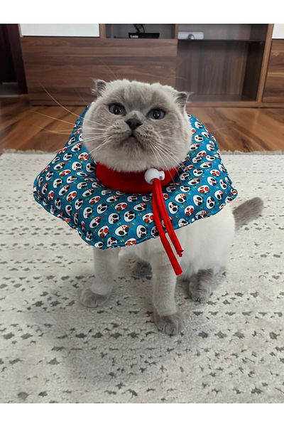 UTDpet Panda Patterned Cat and Dog Elizabeth Protective Collar