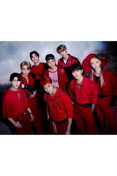 512 STORE Stray Kids 10'lu Duvar Poster 13x10 Çerçevesiz Özel Korunaklı Paket...