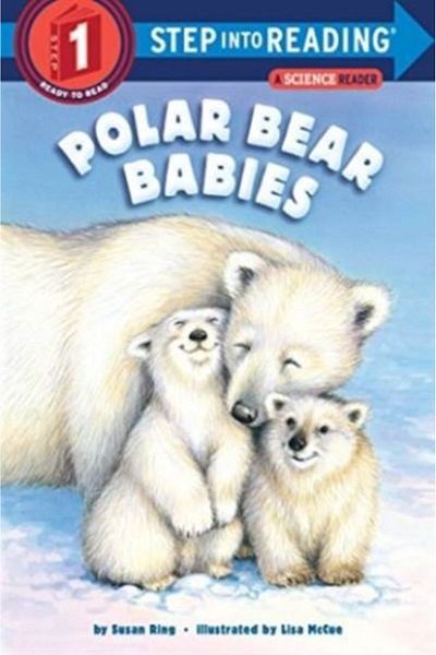 AnkaKitabevi Polar Bear Babies