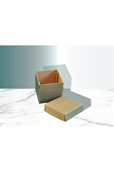 BAŞAK YEŞİL DESENLİ KÜÇÜK BOY HEDİYE KUTUSU