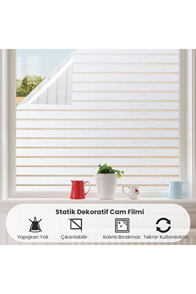 TechnoSmart 45cmx100cm Buzlu Desenli Cam Kaplama Filmi Statik Duşa Kabin Ofis Dekorasyon Folyo