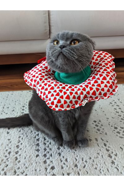 UTDpet Watermelon Patterned Cat and Dog Elizabeth Protective Collar