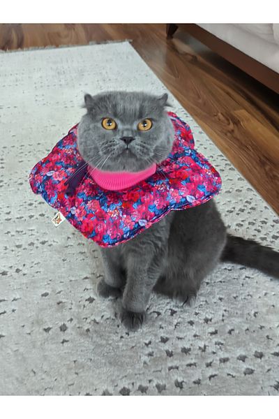 UTDpet Lilac Patterned Cat and Dog Elizabeth Protective Collar