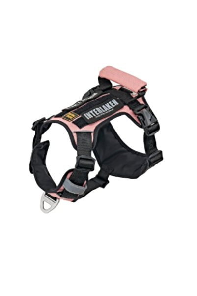 INTERLAKEN Köpek Harness Koşum Takımı Hafif Küçük Ve Büyük Köpekler Uzanma Önleyici Göğüs Tasması
