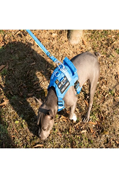 INTERLAKEN Dog Leash G230 Adjustable Length Lightweight Buckle Leash Seat Belt Carabiner 2.3m