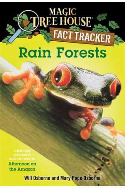 AnkaKitabevi Rain Forests