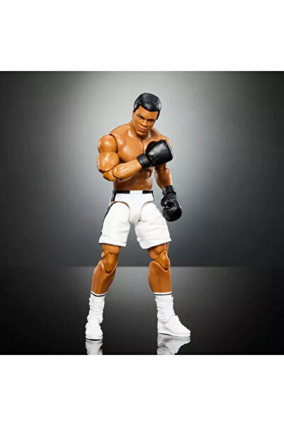 mattel أساطير WWE محمد علي HVF61