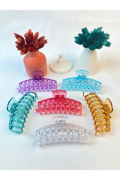 PREGIO Women's 6-Piece Xl Transparent Anti-Slip Bun Latch Hair Clip