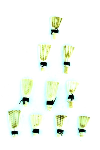 Unosell 10 Pieces Cane and Reed Compartment Set for Zurna Mizmar Zorna