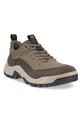 Timberland vs ecco 2025