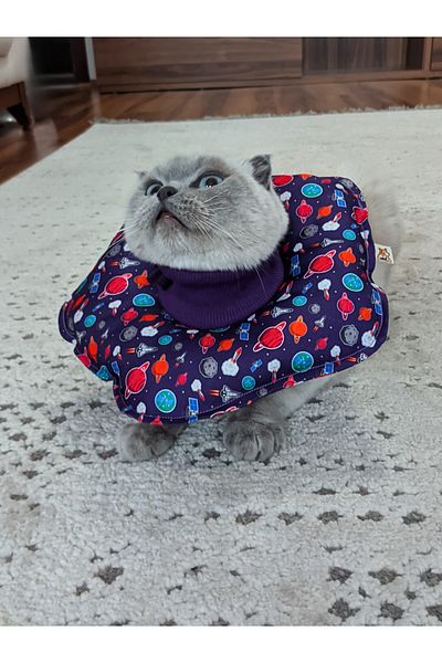UTDpet X Æ A-12 Patterned Cat and Dog Elizabeth Protective Collar