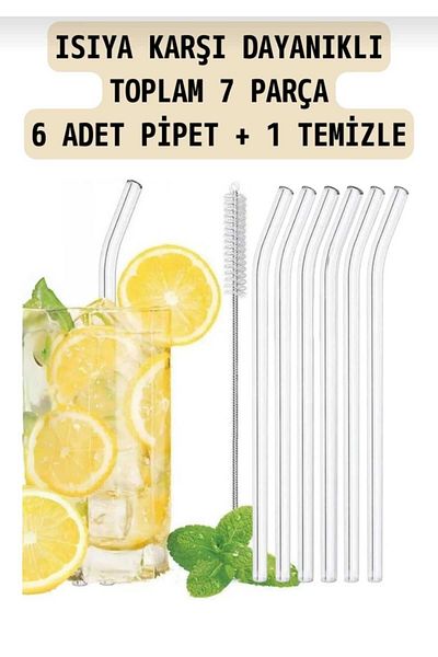 hinezahome 6-Piece Glass Pipette Thermosilicate (Heat Resistant) and 1 Pipette Cleaning Brush 1stQuality