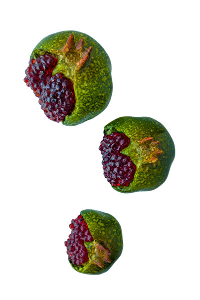 Kare Home Dekoratif Patlak Nar Üçlü Set Yeşil