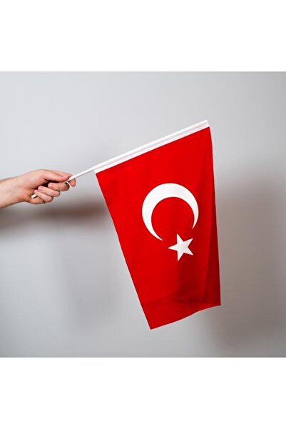 Herşey Nota Türk Bayrağı Sopalı Bayrak (20*30 CM) 1 Adet