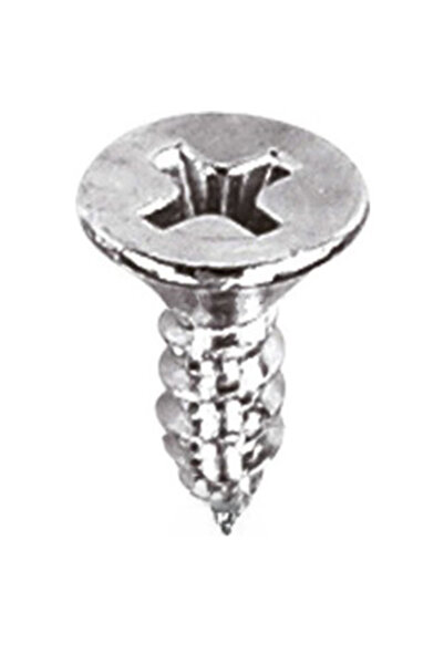 ALETÇANTAM Havşa Başlı Küçük Vida Mini Sac Vidası Yhb 2.9x6.5 -500 Adet