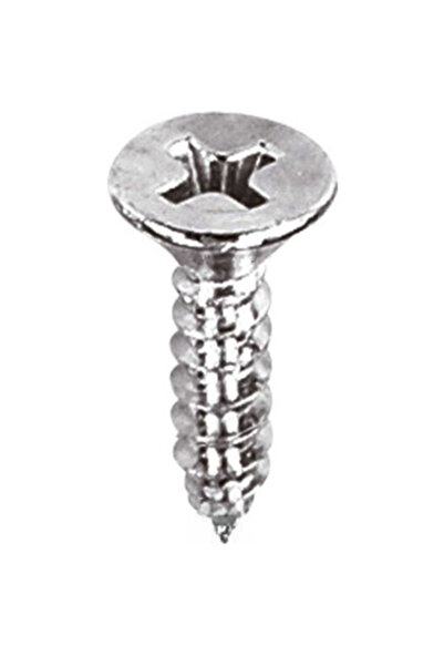 ALETÇANTAM Havşa Başlı Küçük Vida Mini Sac Vidası Yhb 2.9x9.5 -500 Adet