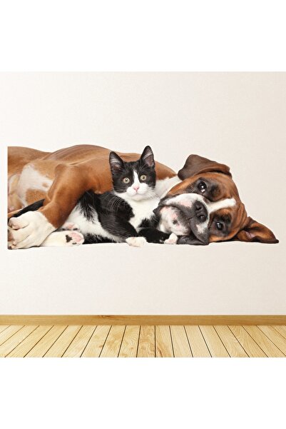 Modatools Boxer Köpek Ve Kedi Dekoratif Duvar Sticker Çıkartma Yatak Çocuk Odası