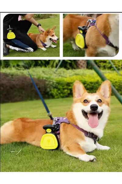 Teknopet Portable Dog Stool Collection Apparatus, Pet Stool Ladle, Dog Stool Collector