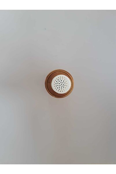 Eca . Proteus Akış Türbini Pirinç . Calora Akış Türbini . Confeo Akış Türbin