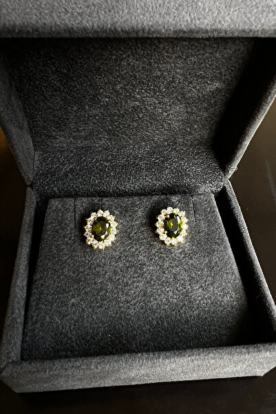 Pinart Zirkon Taş Çivili Şık Kadın Küpe 0001213