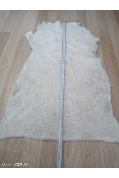 hoaryage KOPYA - NATUREL HAKİKİ KUZU POSTU , POSTEKİ YOLLUK, DEKORATİF ÜRÜN