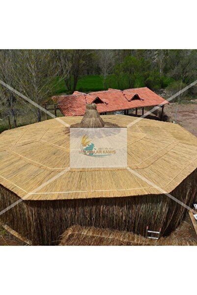 Bambu Kamış Kamış Hasır 2 Metre Eni 6 Metre Uzunlugu